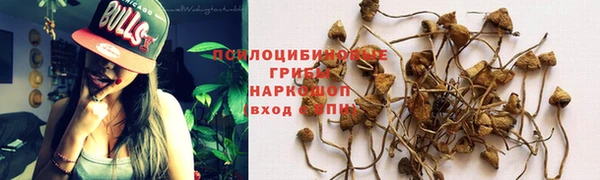 mdpv Михайловка